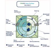 Гринлос Аква 5 Миди - фото 4